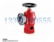 配卷盤(pán)專(zhuān)用旋轉(zhuǎn)型室內(nèi)消火栓-SNZ